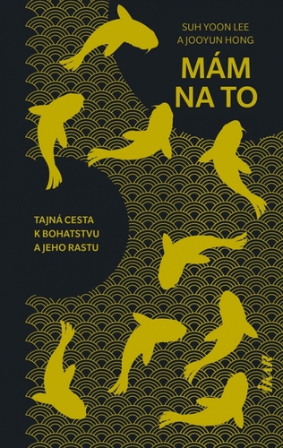 Kniha Mám na to - Suh Yoon Lee,Jooyun Hong,Štefan Kočiš