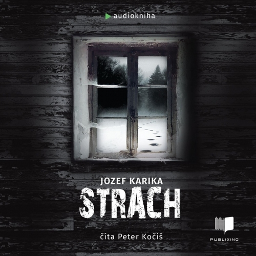 Kniha Strach - audiokniha - CD
