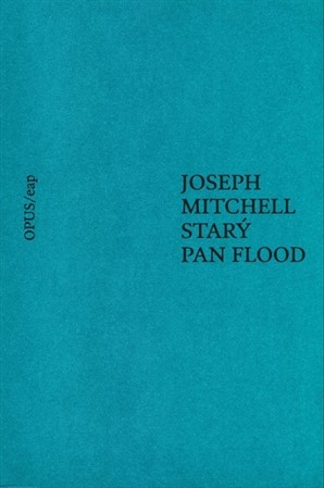 Kniha Starý pan Flood - Kateřina Hilská