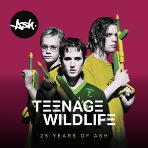 Kniha Ash - Teenage Wildlife: 25 Years Of Ash 2LP