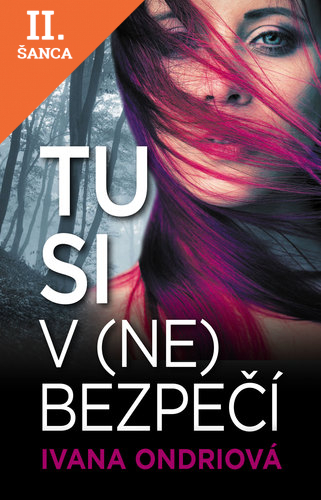 Lacná kniha Tu si v (ne)bezpečí