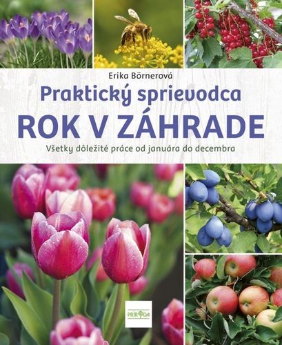 Rok v záhrade - Erika Börnerová