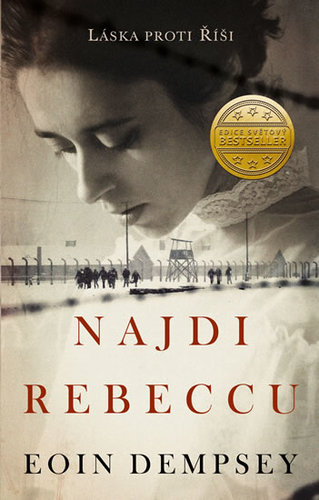 Kniha Najdi Rebeccu