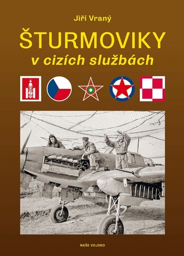 Kniha Šturmoviky v cizích službách