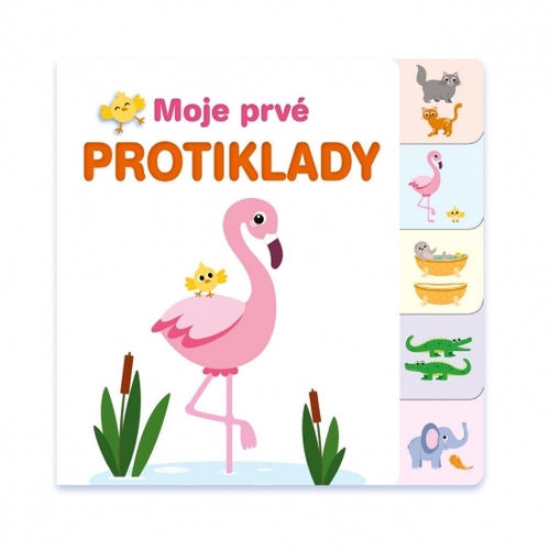 Kniha Moje prvé protiklady