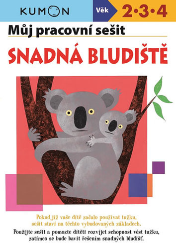 Kniha Snadná bludiště - Můj pracovní sešit