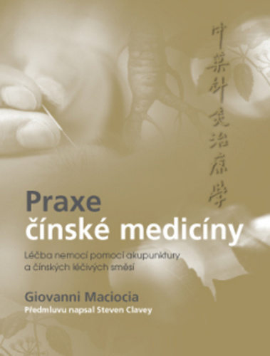 Praxe čínské medicíny - Giovanni Maciocia