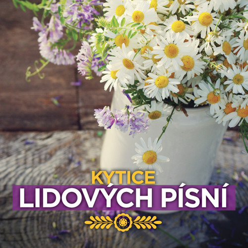 Kniha Various - Kytice lidových písní CD