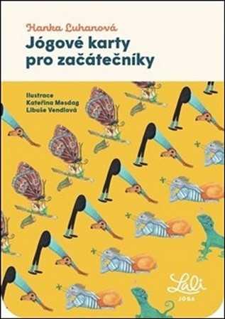 Jógové karty pro začátečníky (1x sada karet)