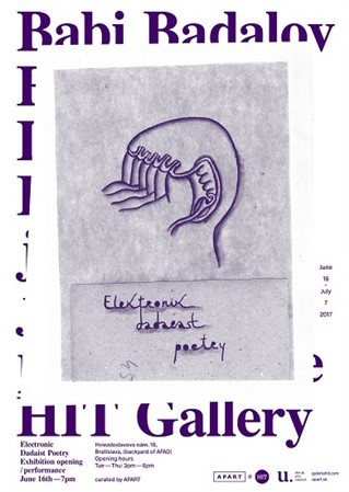 Kniha Elektronik Dadaest Poetry