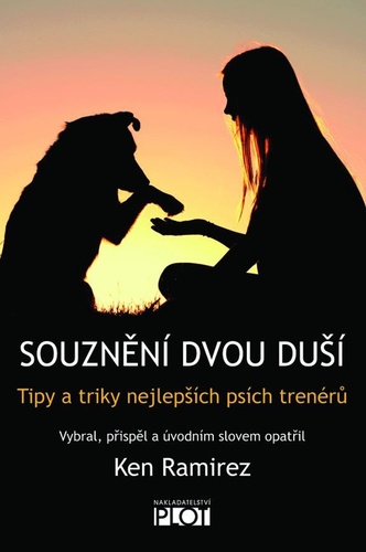 Kniha Souznění dvou duší - Tipy a triky nejlep