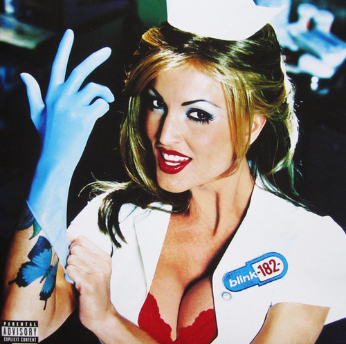 Kniha Blink 182 - Enema Of The State LP