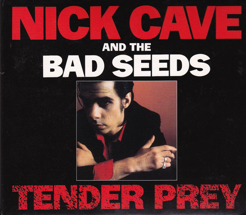 Kniha Cave Nick & The Bad Seeds - Tender Prey (Remastered) CD+DVD