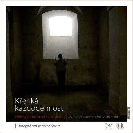 Kniha Křehká každodennost - Příběhy jedinečnos