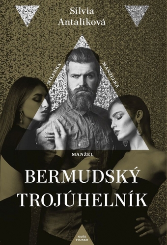 Kniha Bermudský trojúhelník