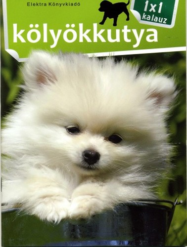 Kölyökkutya - 1x1 kalauz