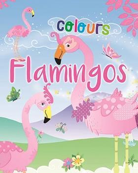 Flamingos Colours