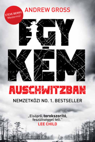 Kniha Egy kém Auschwitzban - Andrew Gross