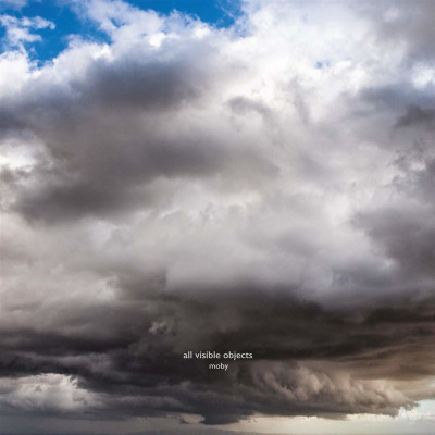 Kniha Moby - All Visible Objects 2LP