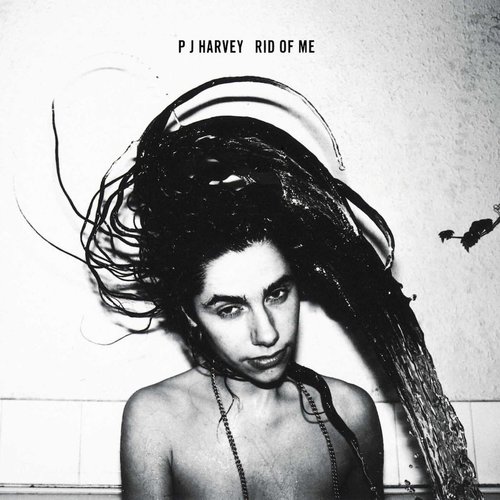 Kniha PJ Harvey - Rid Of Me (2020 Repress) LP