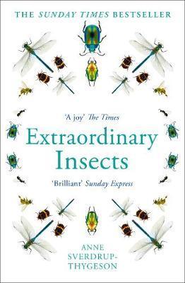 Extraordinary Insects