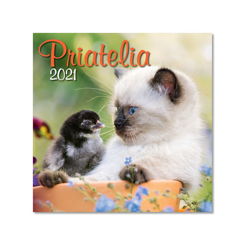 Priatelia 2021 nástenný kalendár