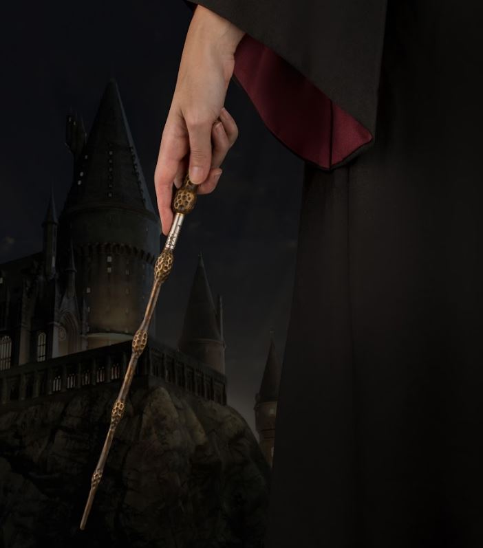 Pero s prútikom Albusa Dumbledora Harry Potter