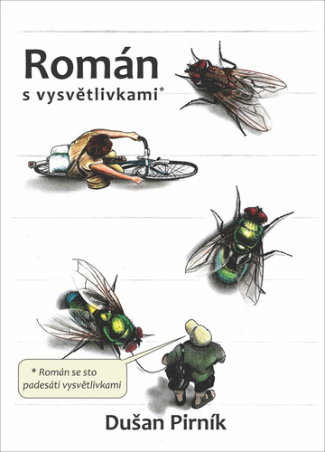 Kniha Román s vysvětlivkami