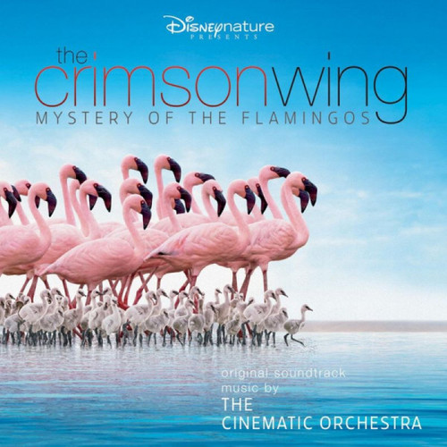 Cinematic Orchestra, The - The Crimsong Wing: Mystery Of The Flamingos RSD 2LP