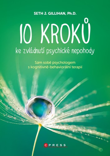 Kniha 10 kroků ke zvládnutí psychické nepohody