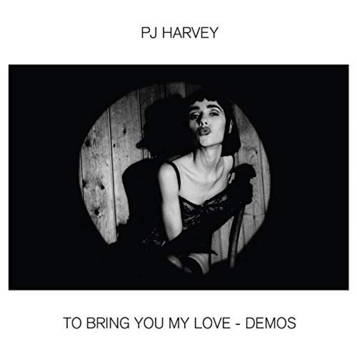 Kniha PJ Harvey - To Bring You My Love: Demos LP