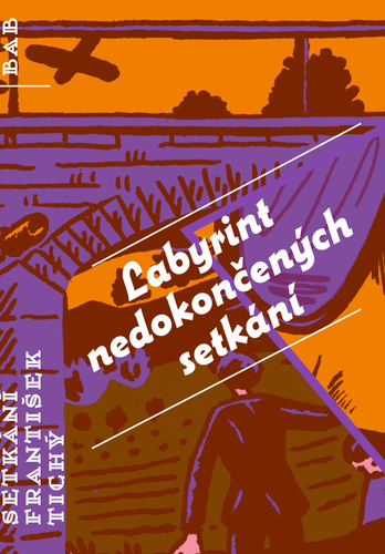 Labyrint nedokončených setkání - František Tichý