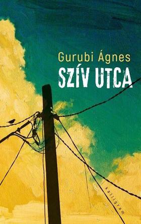 Kniha Szív utca - Ágnes Gurubi