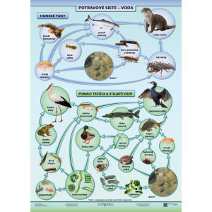 Voda - potravové siete - A4 karta