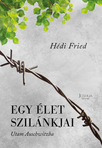 Egy élet szilánkjai - Utam Auschwitzba - Hédi Fried,Botond Ágnes