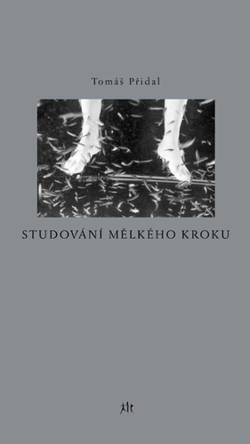 Kniha Studování mělkého kroku