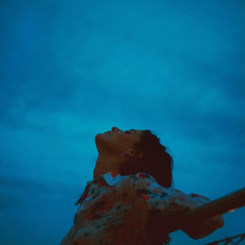 Kniha Léon - Apart LP