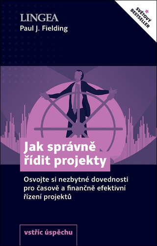 Kniha Jak správně řídit projekty