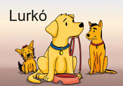 Kniha Lurkó - neuvedený,András Frankó