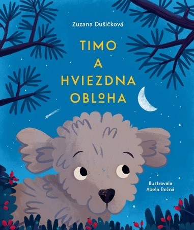 Timo a hviezdna obloha