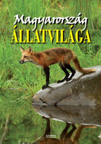 Kniha Magyarország állatvilága - István Bernáth