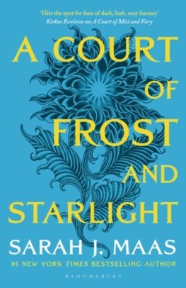 Kniha A Court of Frost and Starlight