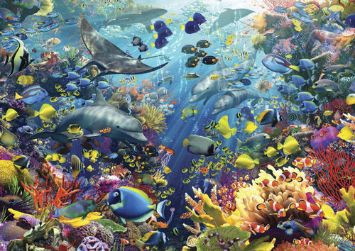 3D pohľadnica Život v oceáne