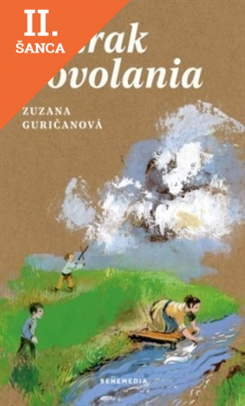 Lacná kniha Zázrak povolania