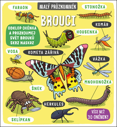 Brouci