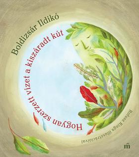 Kniha Hogyan szerzett vizet a kiszáradt kút - Ildikó Boldizsár