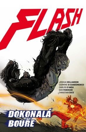 Kniha Flash 7 - Dokonalá bouře