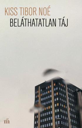 Kniha Beláthatatlan táj - Tibor Noé Kiss