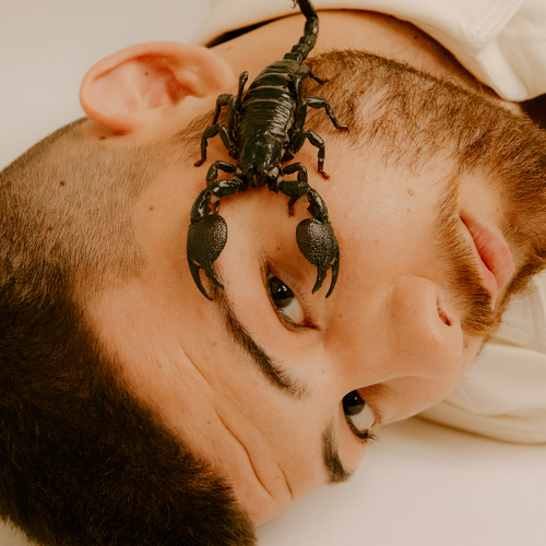 Kniha Calin - Svědomí CD