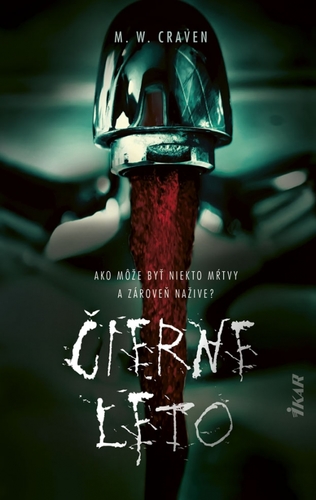 Kniha Čierne leto